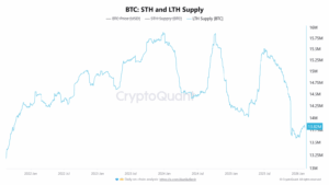 BTC LTH Supply. Source: CryptoQuant