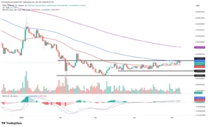 چارت SHIB/USDT