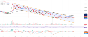 xrp d1 chart