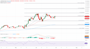 HYPE_USD daily price chart