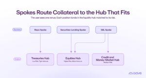 Option B - Multiple Hubs by Asset Category and Risk