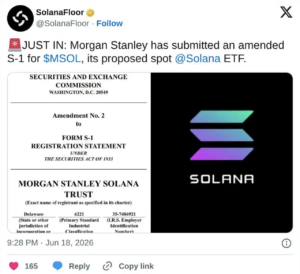 SolanaFloor x